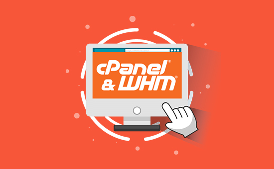 cPanel 30 Account