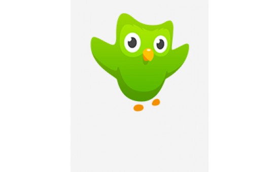 Duolingo Plus Edu 1 Yıllık Lisans